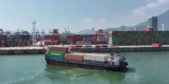 国内海运，内贸集装箱海运收费全解析！